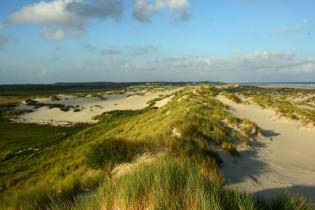 Dynamic dune development at the island of Terschelling (Foto: J. Fröhlich)
